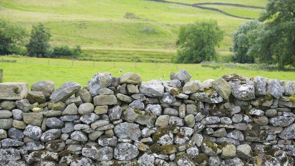 My neighbour won't agree to wall repair