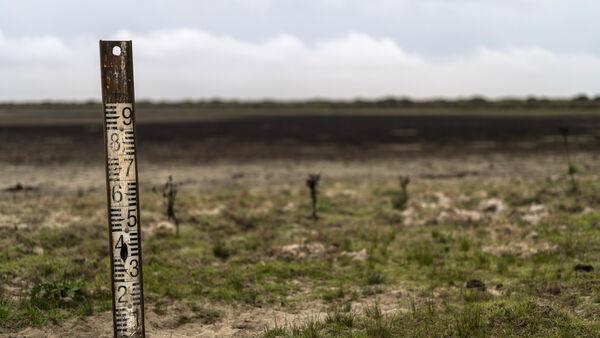 Landmark EU nature restoration plan gets green light despite farmers’ protests